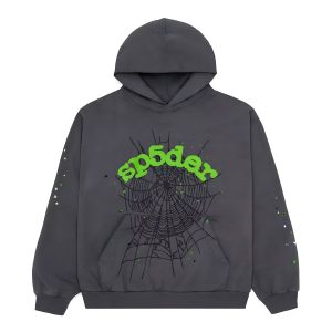 Sp5der Wait Web Hoodie Slate Grey the front side - Photo 1