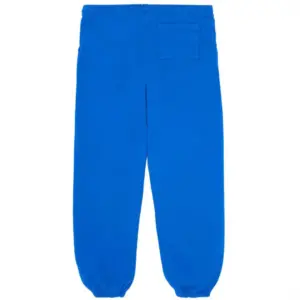 Sp5der TC Sweatpants Blue from the back side - Photo 2