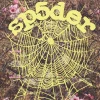 Sp5der Real Tree OG Web Hoodie