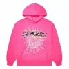 Sp5der P*NK V2 Hoodie Pink